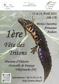 Fte des Tritons